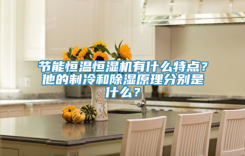 節(jié)能恒溫恒濕機(jī)有什么特點(diǎn)？他的制冷和除濕原理分別是什么？