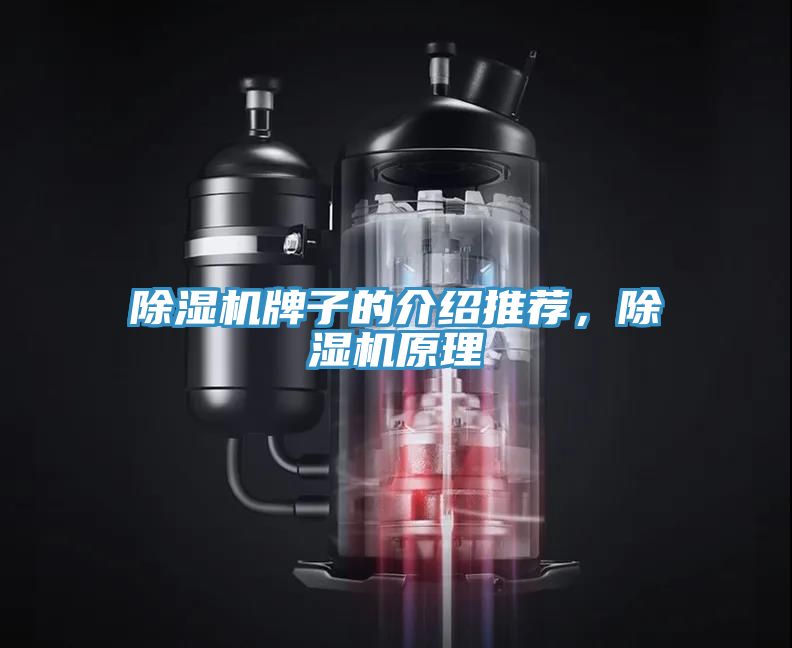 除濕機牌子的介紹推薦，除濕機原理