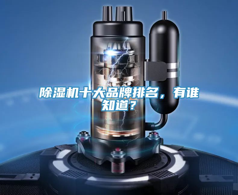 除濕機(jī)十大品牌排名，有誰知道？