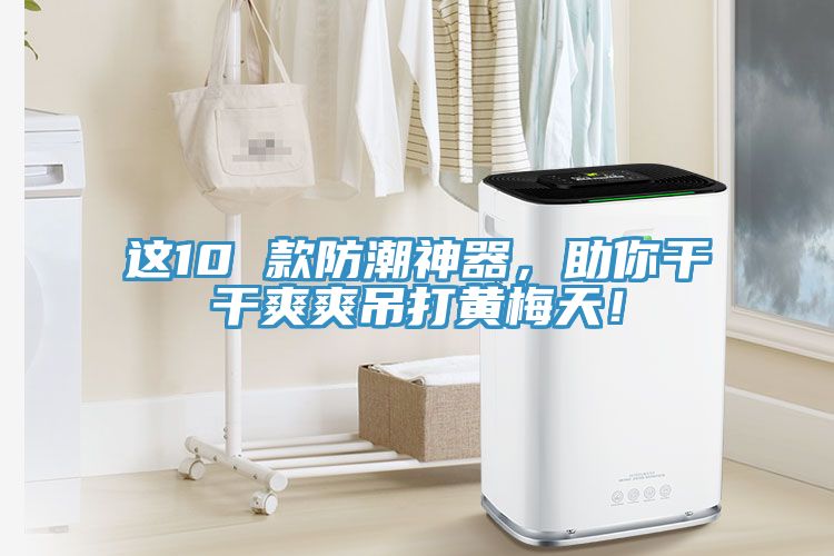 這10 款防潮神器，助你干干爽爽吊打黃梅天！