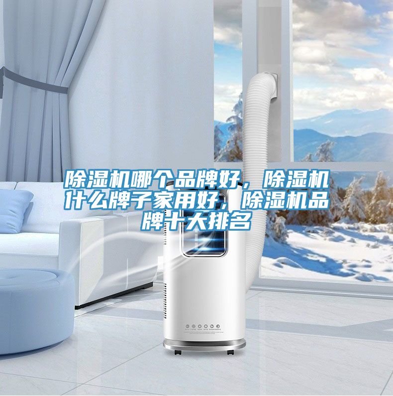 除濕機(jī)哪個(gè)品牌好，除濕機(jī)什么牌子家用好，除濕機(jī)品牌十大排名