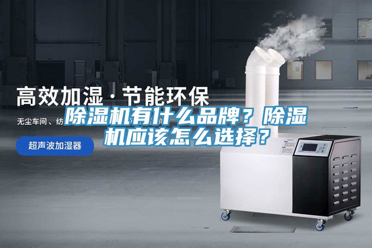 除濕機(jī)有什么品牌？除濕機(jī)應(yīng)該怎么選擇？