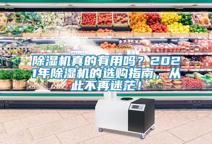 除濕機(jī)真的有用嗎？2021年除濕機(jī)的選購指南，從此不再迷茫！