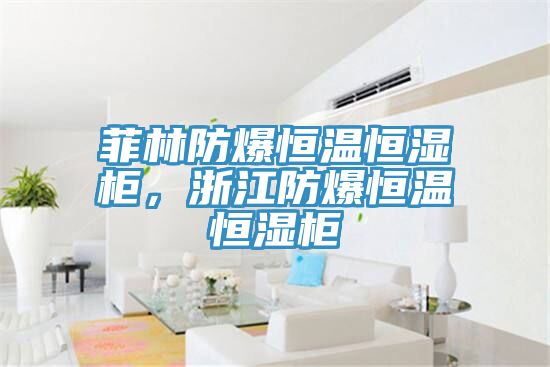 菲林防爆恒溫恒濕柜，浙江防爆恒溫恒濕柜