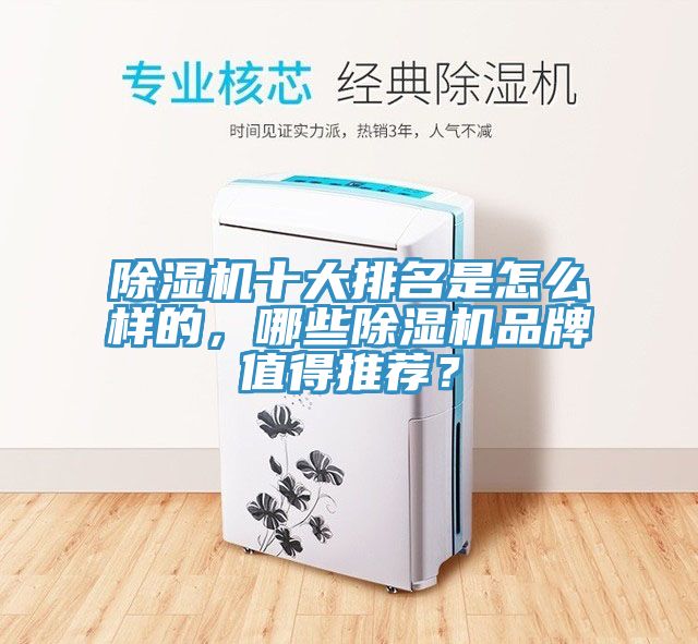 除濕機(jī)十大排名是怎么樣的，哪些除濕機(jī)品牌值得推薦？