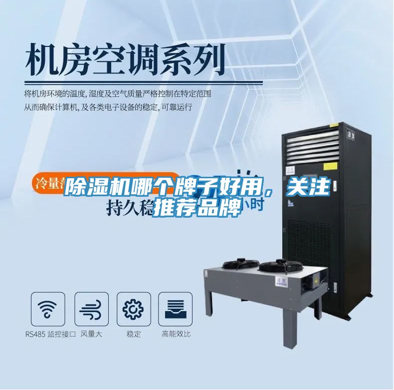 除濕機哪個牌子好用，關注推薦品牌