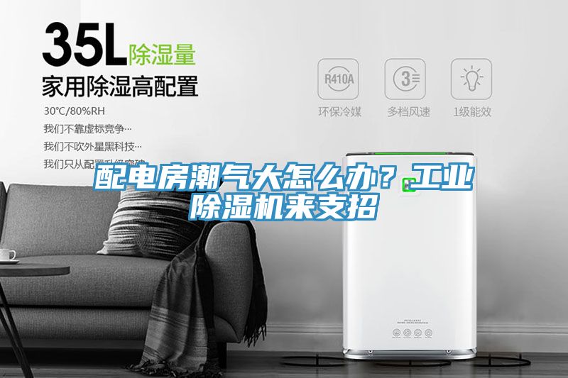配電房潮氣大怎么辦？工業(yè)除濕機(jī)來支招