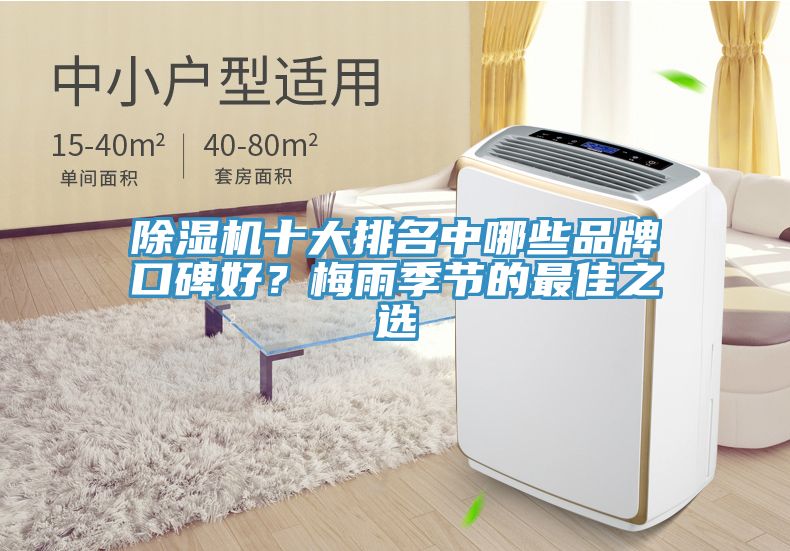 除濕機(jī)十大排名中哪些品牌口碑好？梅雨季節(jié)的最佳之選