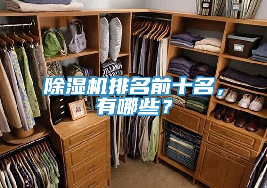 除濕機(jī)排名前十名，有哪些？