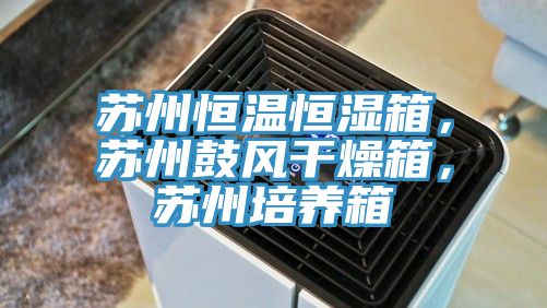 蘇州恒溫恒濕箱，蘇州鼓風(fēng)干燥箱，蘇州培養(yǎng)箱