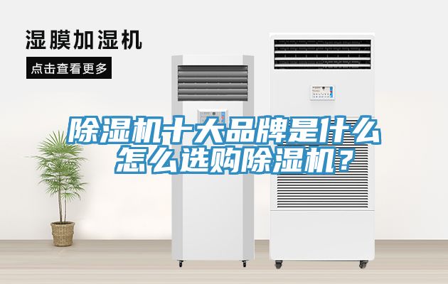 除濕機(jī)十大品牌是什么 怎么選購(gòu)除濕機(jī)？