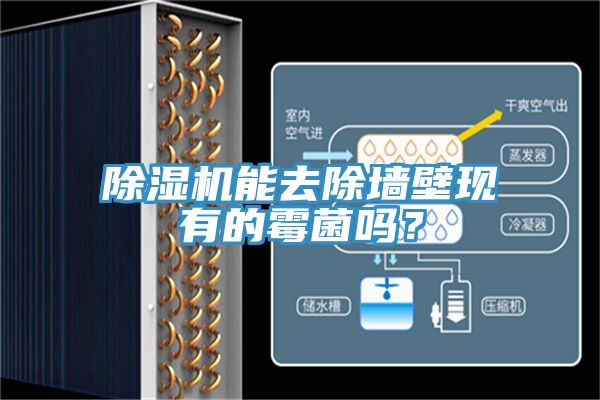除濕機能去除墻壁現(xiàn)有的霉菌嗎？