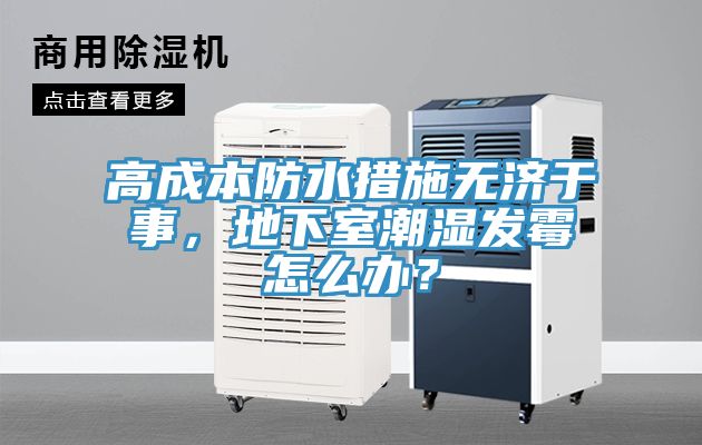 高成本防水措施無(wú)濟(jì)于事，地下室潮濕發(fā)霉怎么辦？