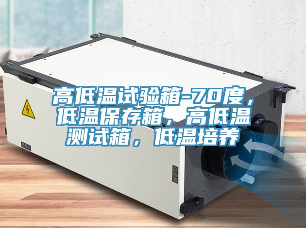 高低溫試驗箱-70度，低溫保存箱，高低溫測試箱，低溫培養(yǎng)