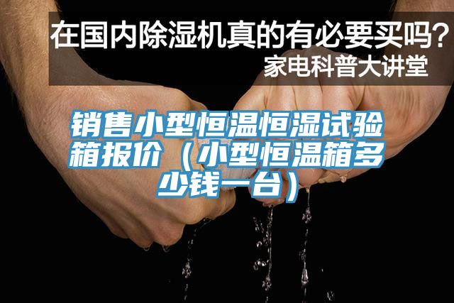銷售小型恒溫恒濕試驗(yàn)箱報(bào)價(jià)（小型恒溫箱多少錢一臺(tái)）