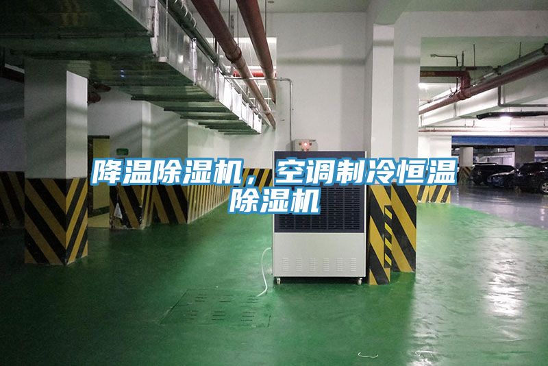 降溫除濕機，空調制冷恒溫除濕機