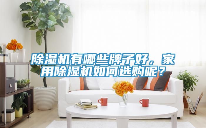 除濕機有哪些牌子好，家用除濕機如何選購呢？