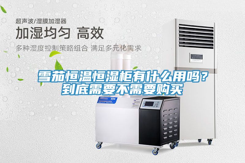 雪茄恒溫恒濕柜有什么用嗎？到底需要不需要購買