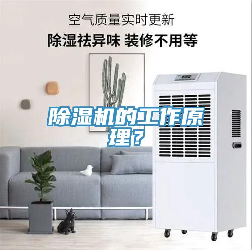 除濕機(jī)的工作原理？