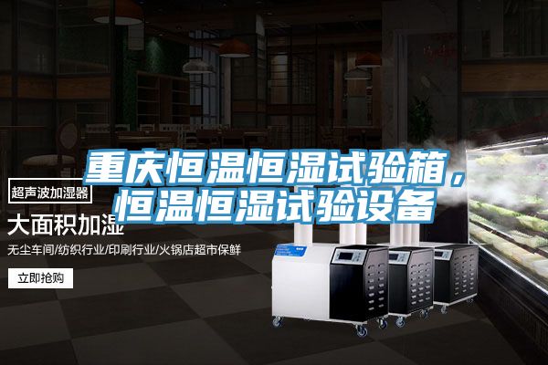 重慶恒溫恒濕試驗箱，恒溫恒濕試驗設(shè)備