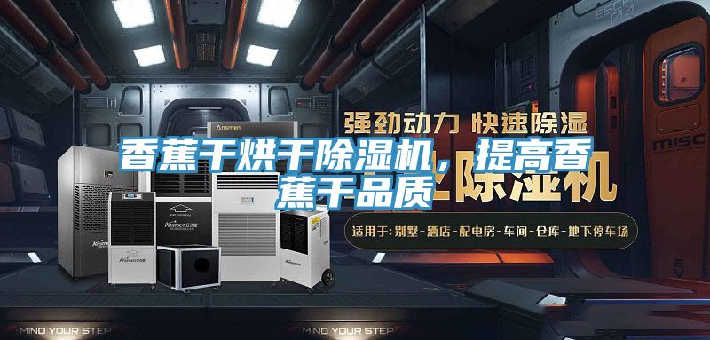 香蕉干烘干除濕機，提高香蕉干品質(zhì)