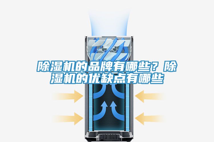 除濕機(jī)的品牌有哪些？除濕機(jī)的優(yōu)缺點(diǎn)有哪些