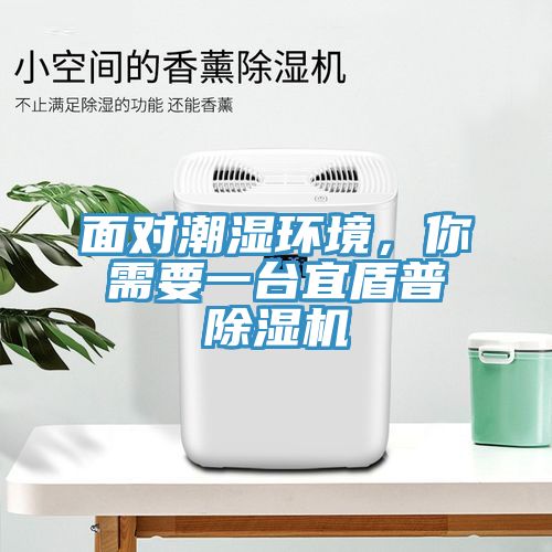 面對(duì)潮濕環(huán)境，你需要一臺(tái)宜盾普除濕機(jī)