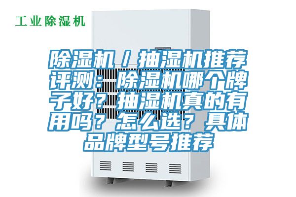 除濕機(jī)／抽濕機(jī)推薦評測：除濕機(jī)哪個牌子好？抽濕機(jī)真的有用嗎？怎么選？具體品牌型號推薦