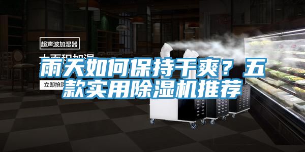 雨天如何保持干爽？五款實(shí)用除濕機(jī)推薦