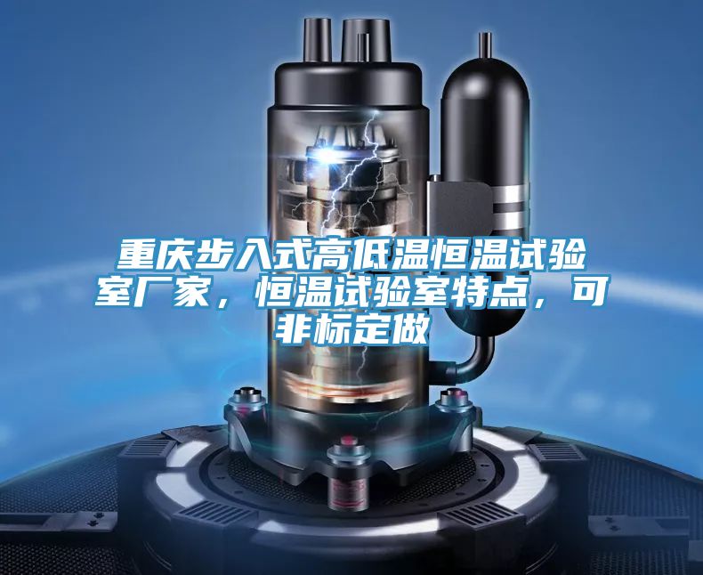 重慶步入式高低溫恒溫試驗室廠家，恒溫試驗室特點，可非標定做