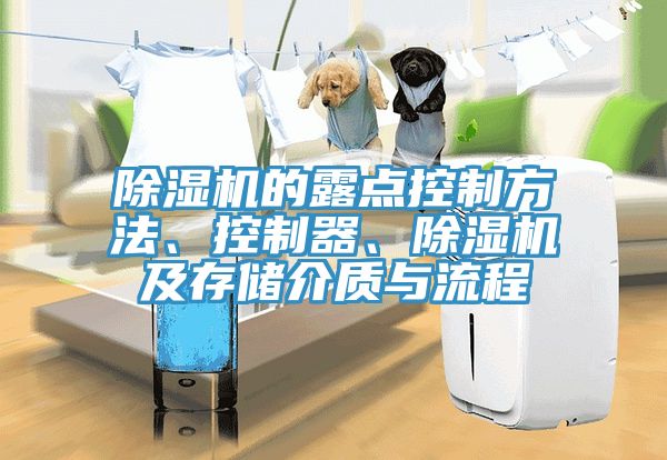 除濕機(jī)的露點(diǎn)控制方法、控制器、除濕機(jī)及存儲(chǔ)介質(zhì)與流程