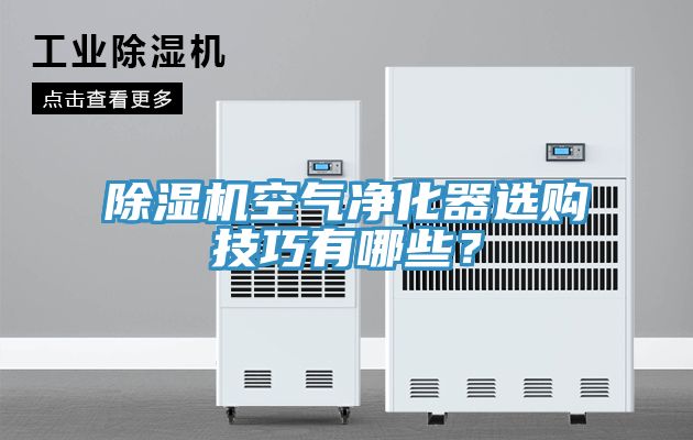 除濕機(jī)空氣凈化器選購技巧有哪些？