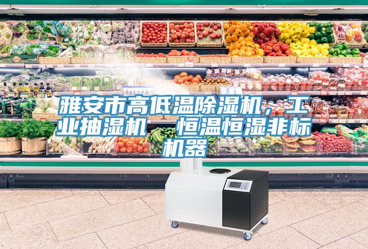 雅安市高低溫除濕機，工業(yè)抽濕機  恒溫恒濕非標機器
