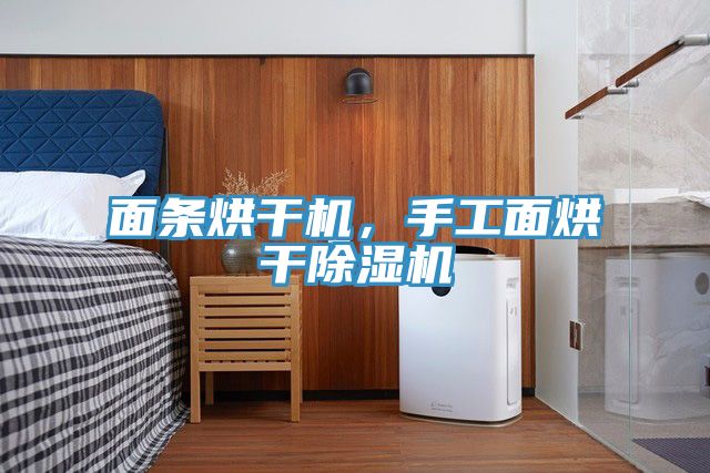 面條烘干機(jī)，手工面烘干除濕機(jī)