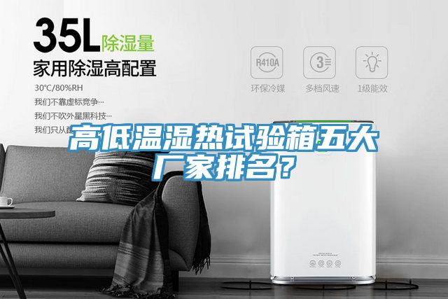 高低溫濕熱試驗(yàn)箱五大廠家排名？