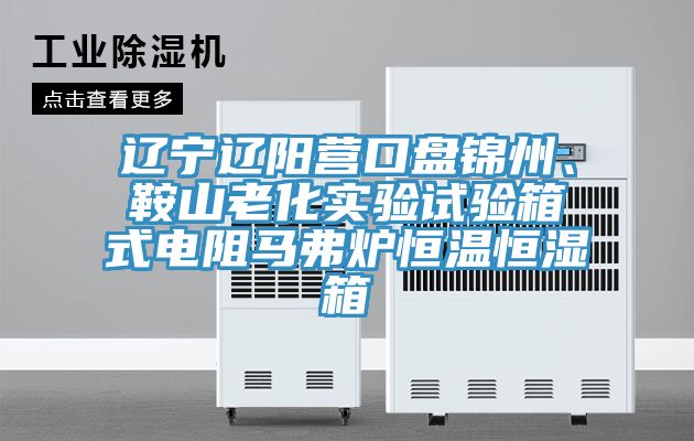 遼寧遼陽(yáng)營(yíng)口盤錦州、鞍山老化實(shí)驗(yàn)試驗(yàn)箱式電阻馬弗爐恒溫恒濕箱