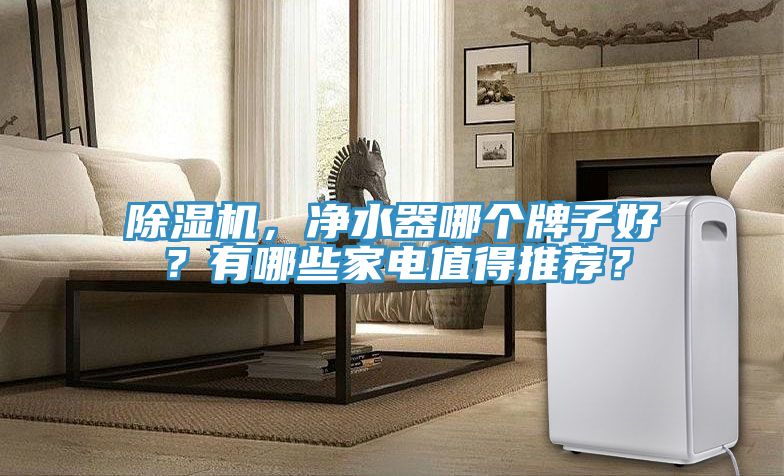 除濕機(jī)，凈水器哪個(gè)牌子好？有哪些家電值得推薦？