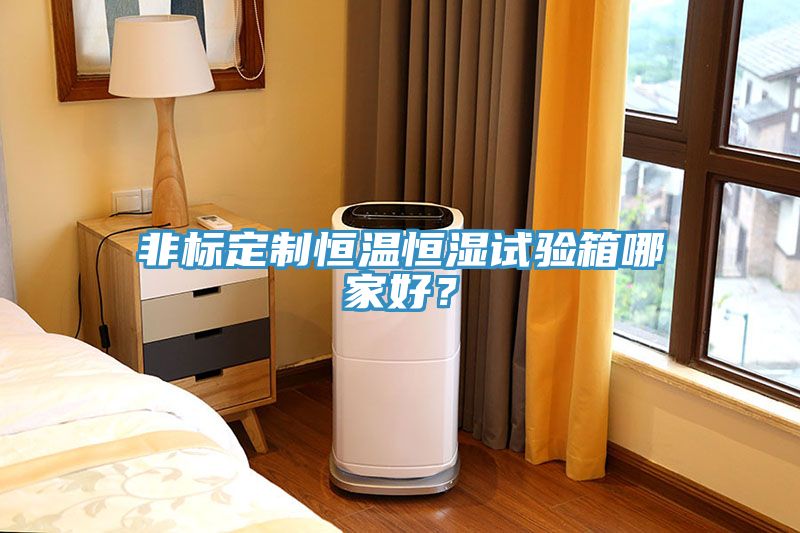 非標(biāo)定制恒溫恒濕試驗箱哪家好？