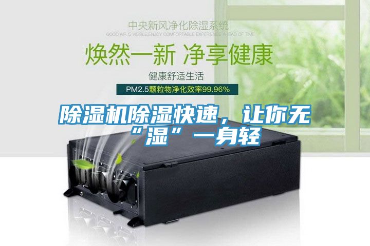 除濕機(jī)除濕快速，讓你無(wú)“濕”一身輕