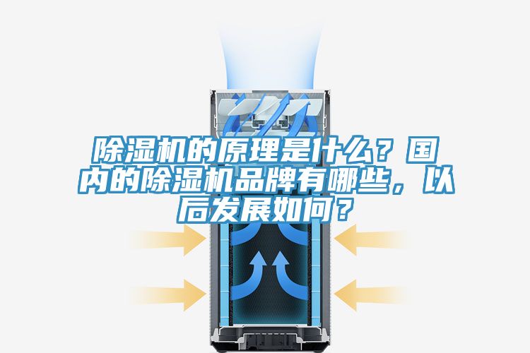 除濕機的原理是什么？國內(nèi)的除濕機品牌有哪些，以后發(fā)展如何？