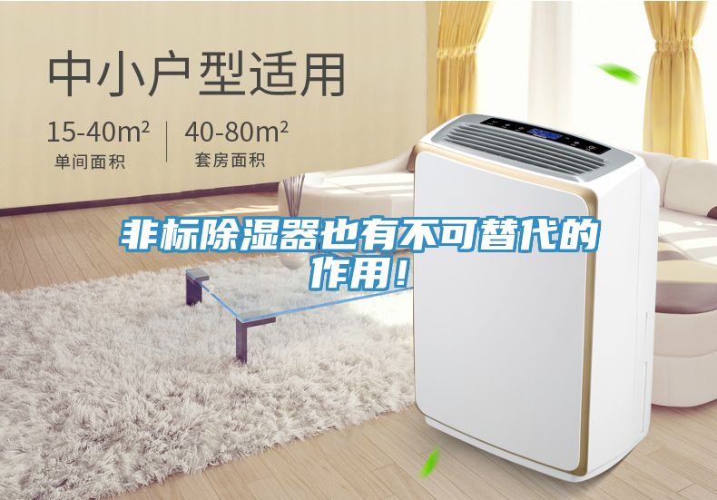 非標(biāo)除濕器也有不可替代的作用！