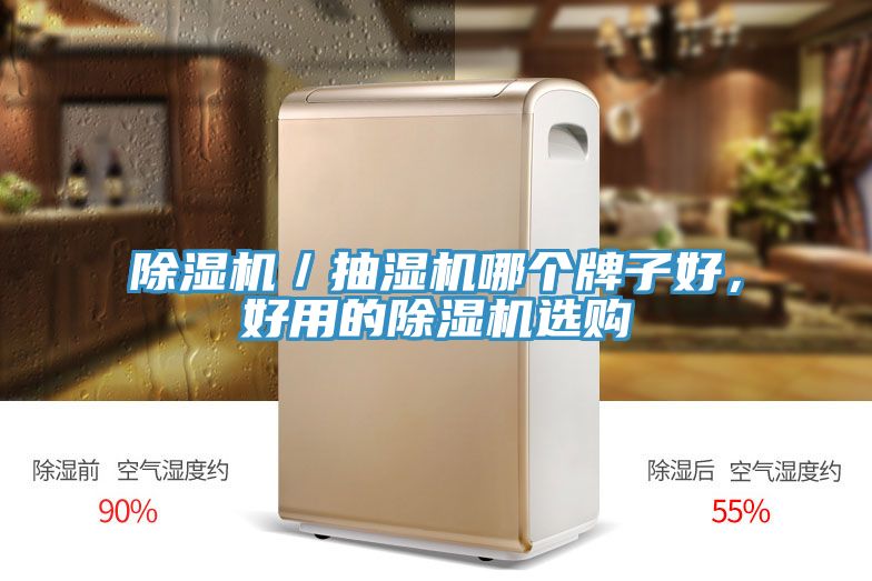 除濕機(jī)／抽濕機(jī)哪個牌子好，好用的除濕機(jī)選購