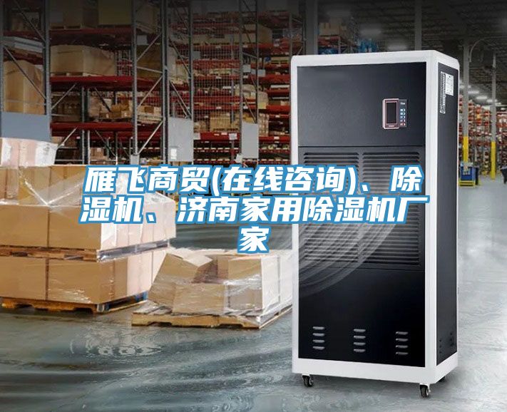雁飛商貿(mào)(在線咨詢)、除濕機(jī)、濟(jì)南家用除濕機(jī)廠家