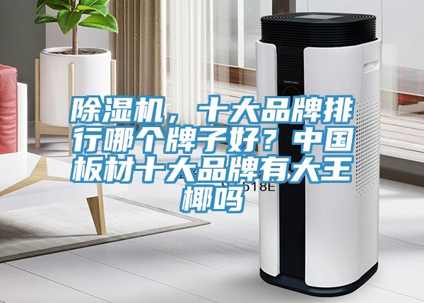 除濕機(jī)，十大品牌排行哪個(gè)牌子好？中國板材十大品牌有大王椰嗎