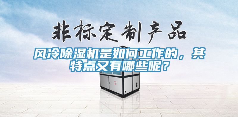 風(fēng)冷除濕機(jī)是如何工作的，其特點(diǎn)又有哪些呢？