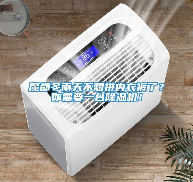 魔都冬雨天不想拼內(nèi)衣褲了？你需要一臺除濕機！
