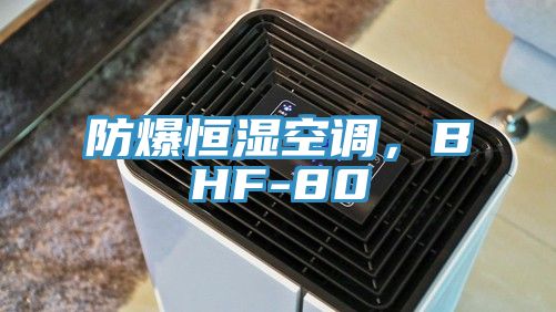 防爆恒濕空調(diào)，BHF-80