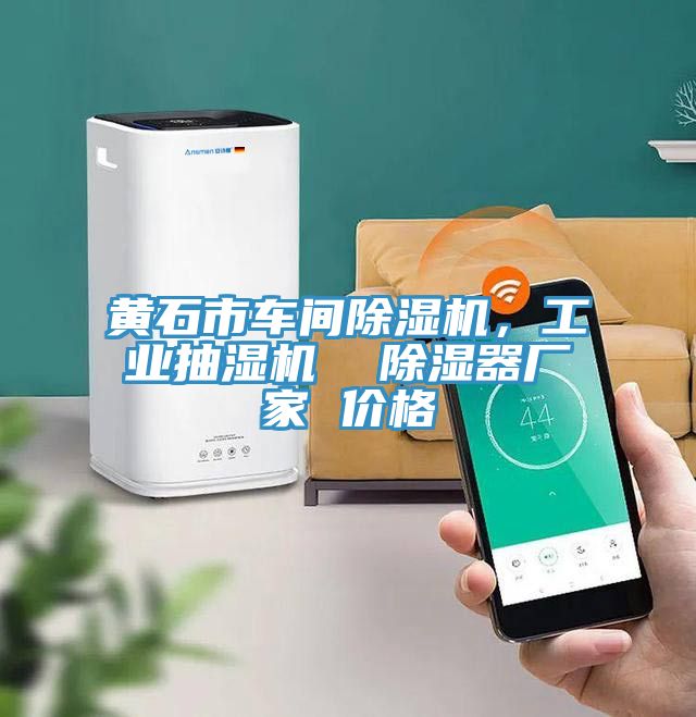 黃石市車(chē)間除濕機(jī)，工業(yè)抽濕機(jī)  除濕器廠家 價(jià)格