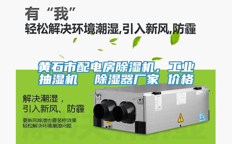 黃石市配電房除濕機(jī)，工業(yè)抽濕機(jī)  除濕器廠家 價(jià)格