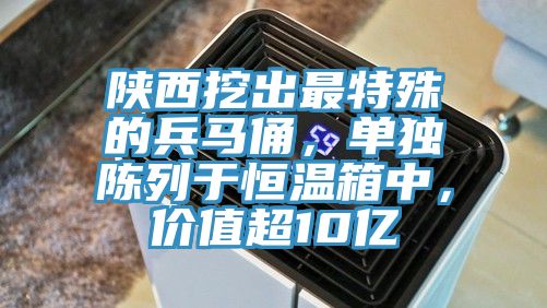 陜西挖出最特殊的兵馬俑，單獨陳列于恒溫箱中，價值超10億